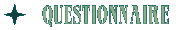 questionnaire